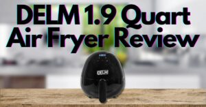 DELM 1.9 Quart Air Fryer Review